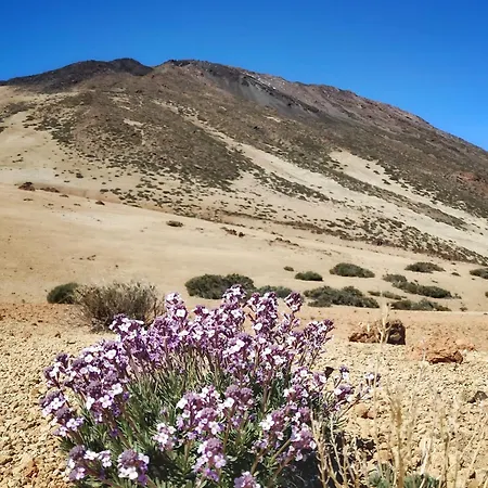 بيت للعطل Casa Mochi *